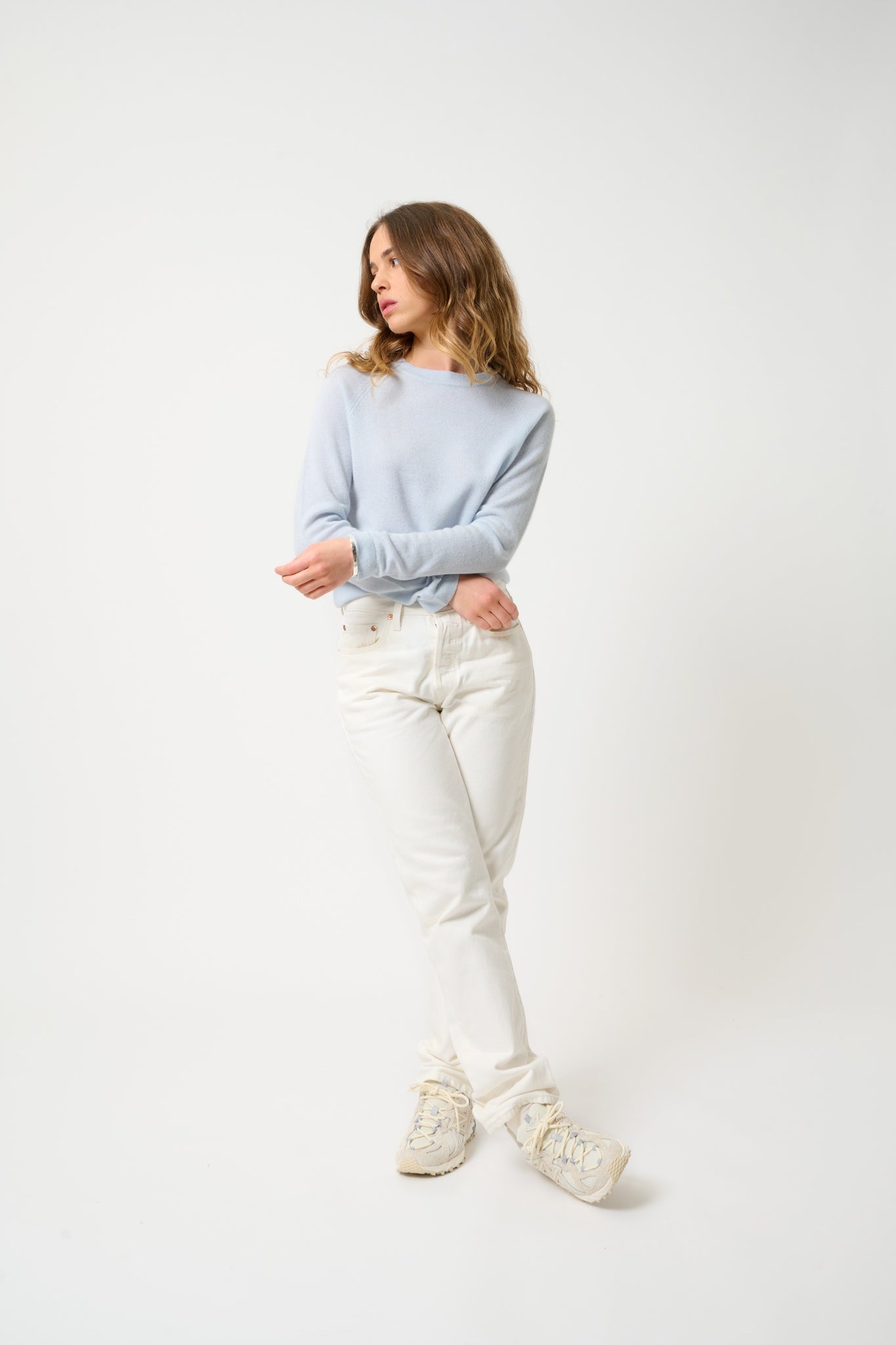 ECRIN pull col rond givre 100% cachemire