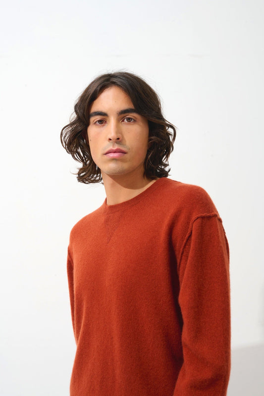 NOLAN pull col rond écureuil 100% cachemire