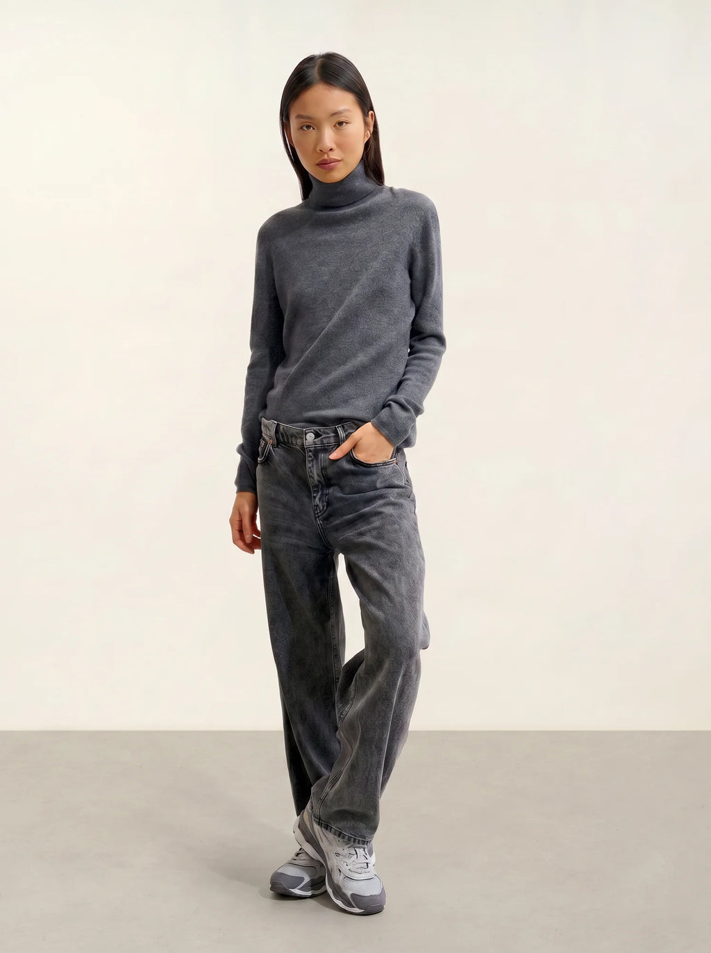 BISE pull col roulé anthracite chiné