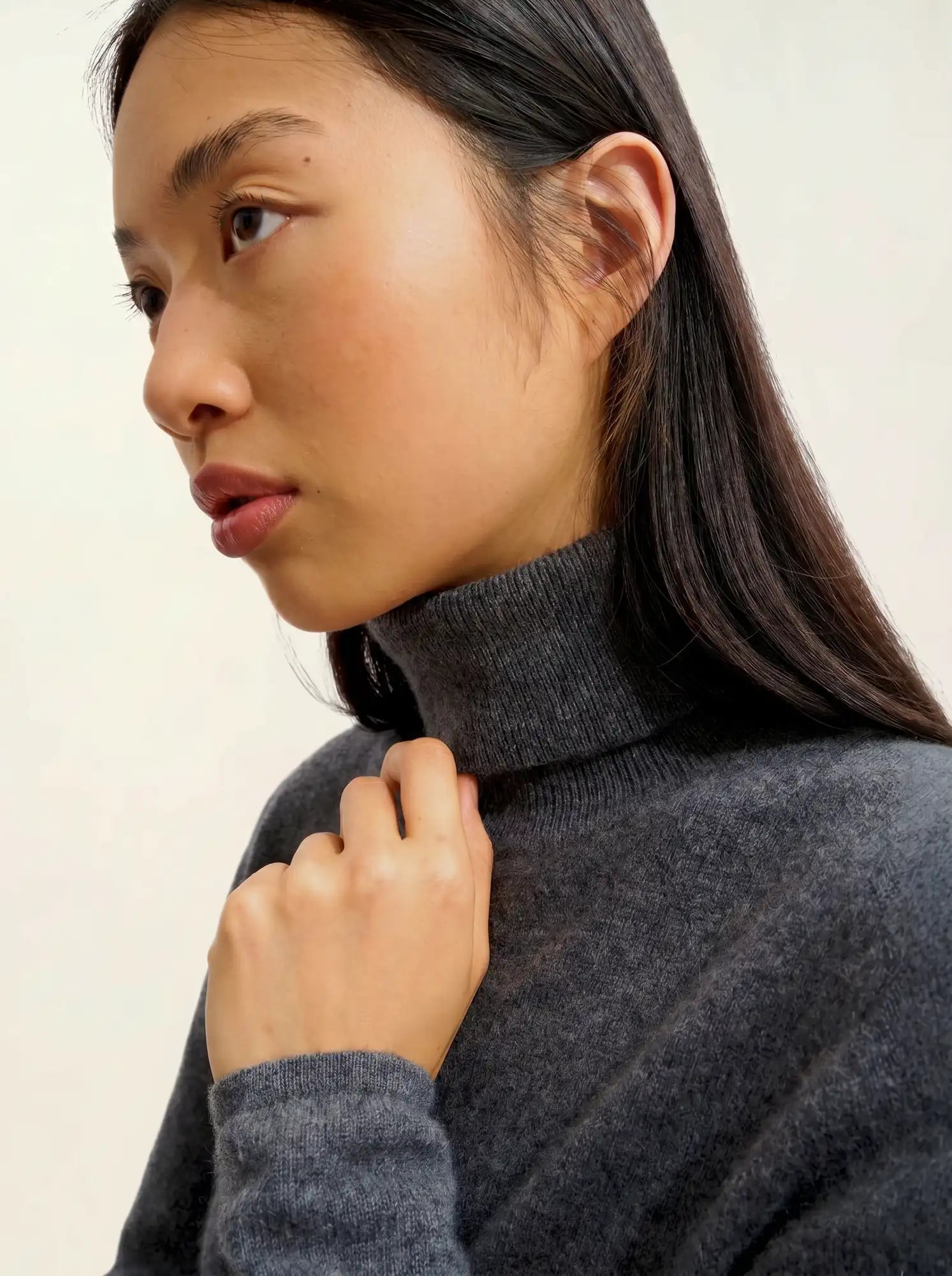 BISE pull col roulé anthracite chiné
