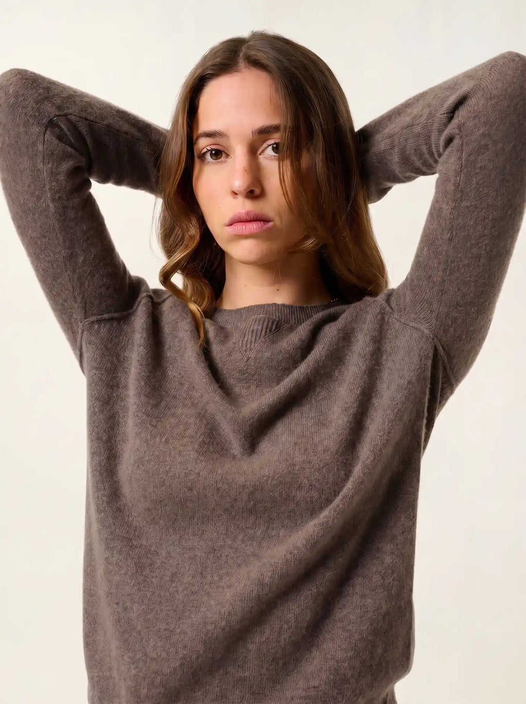 ETRET pull col rond taupe chiné