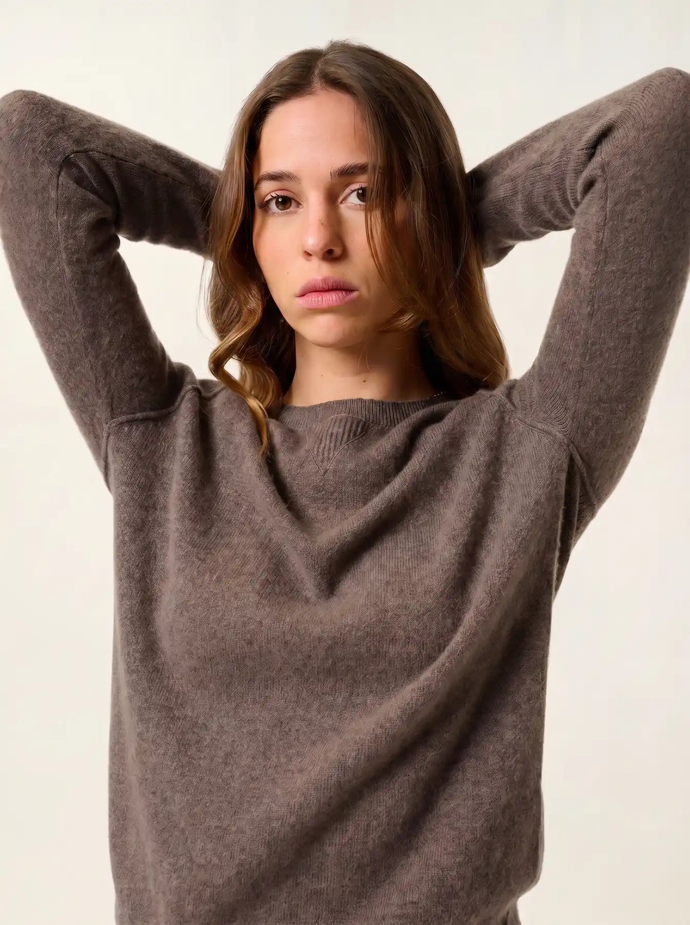 ETRET pull col rond taupe chiné