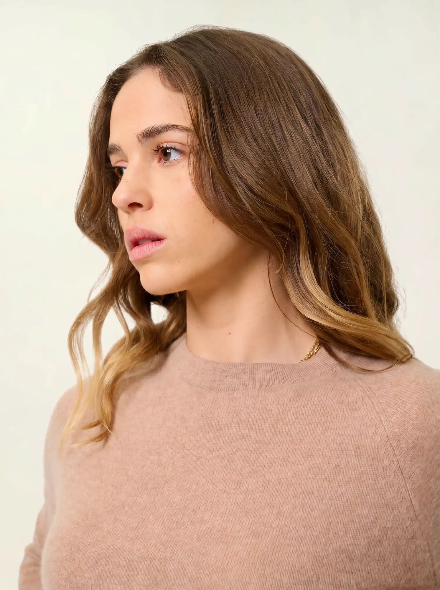 ECRIN pull col rond camel chiné