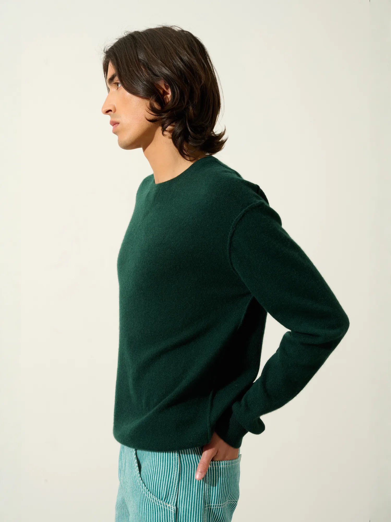 NOLAN pull col rond cyprès