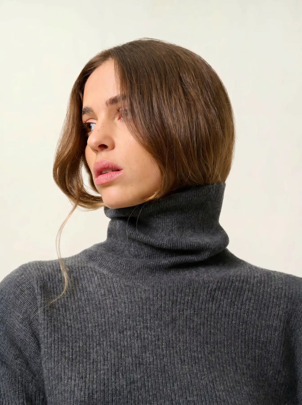 ROXANE pull col roulé anthracite chiné