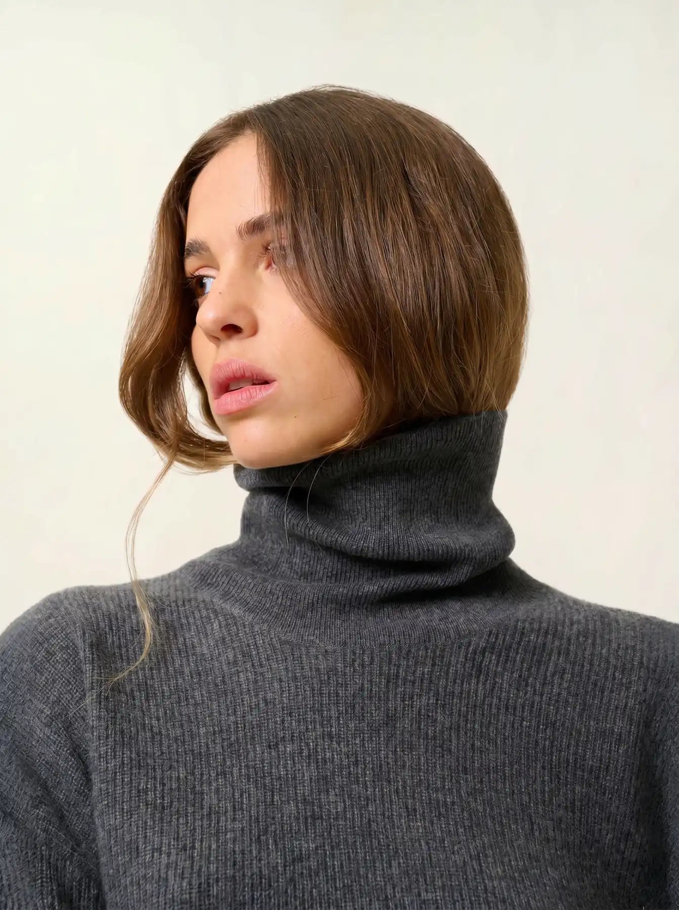 ROXANE pull col roulé anthracite chiné