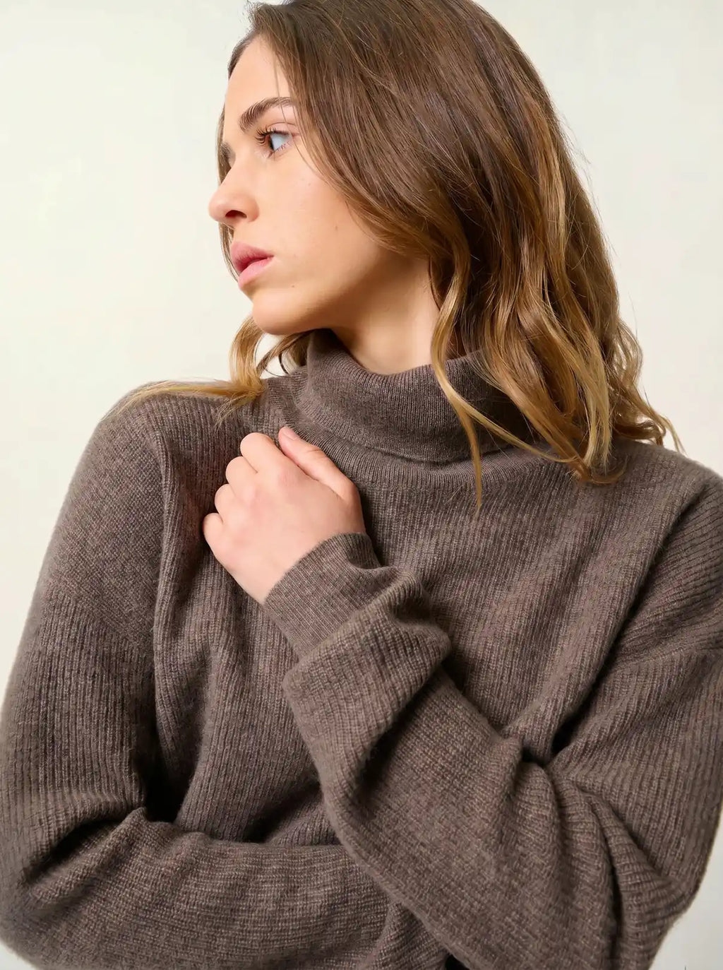 ROXANE pullover rollkragen taupe meliert