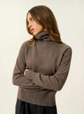 CASSY pull col roulé taupe chiné