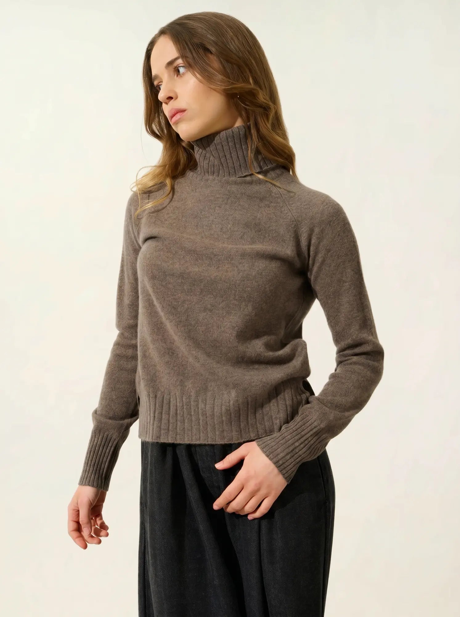 CASSY pull col roulé taupe chiné