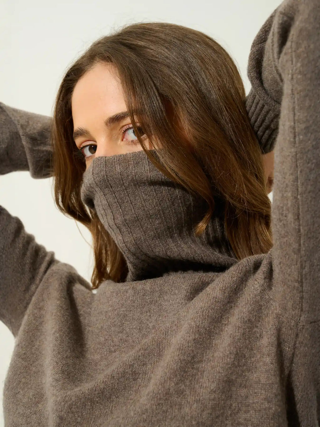 CASSY pull col roulé taupe chiné