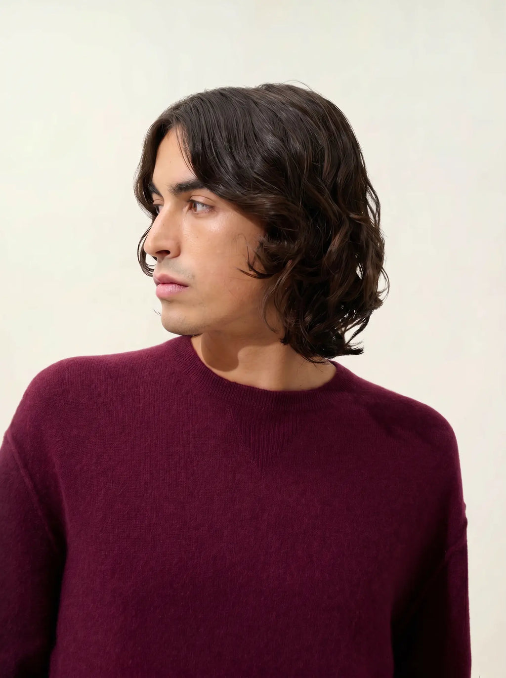 NOLAN sweater crew neck blackberry