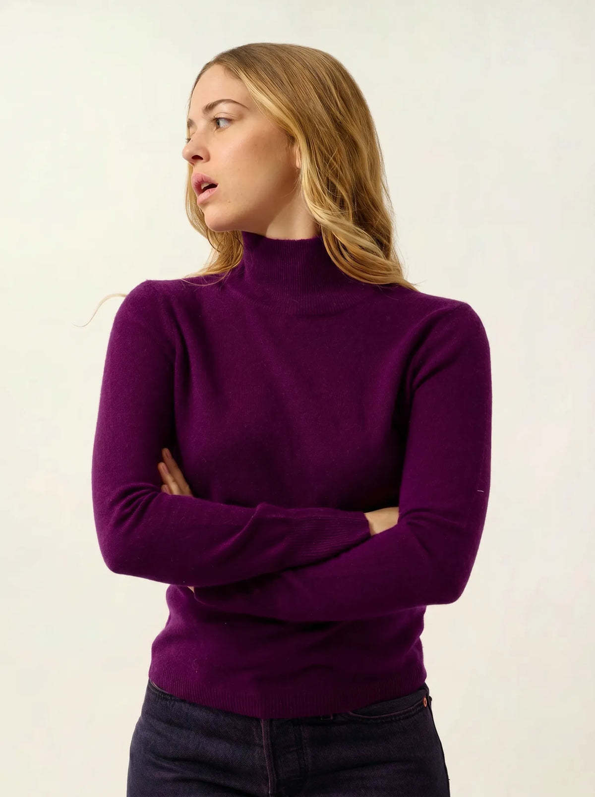 EILEEN Pull Col Montant Prune