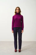 CASSY pull col roulé prune