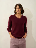 JARDON sweater v-neck blackberry