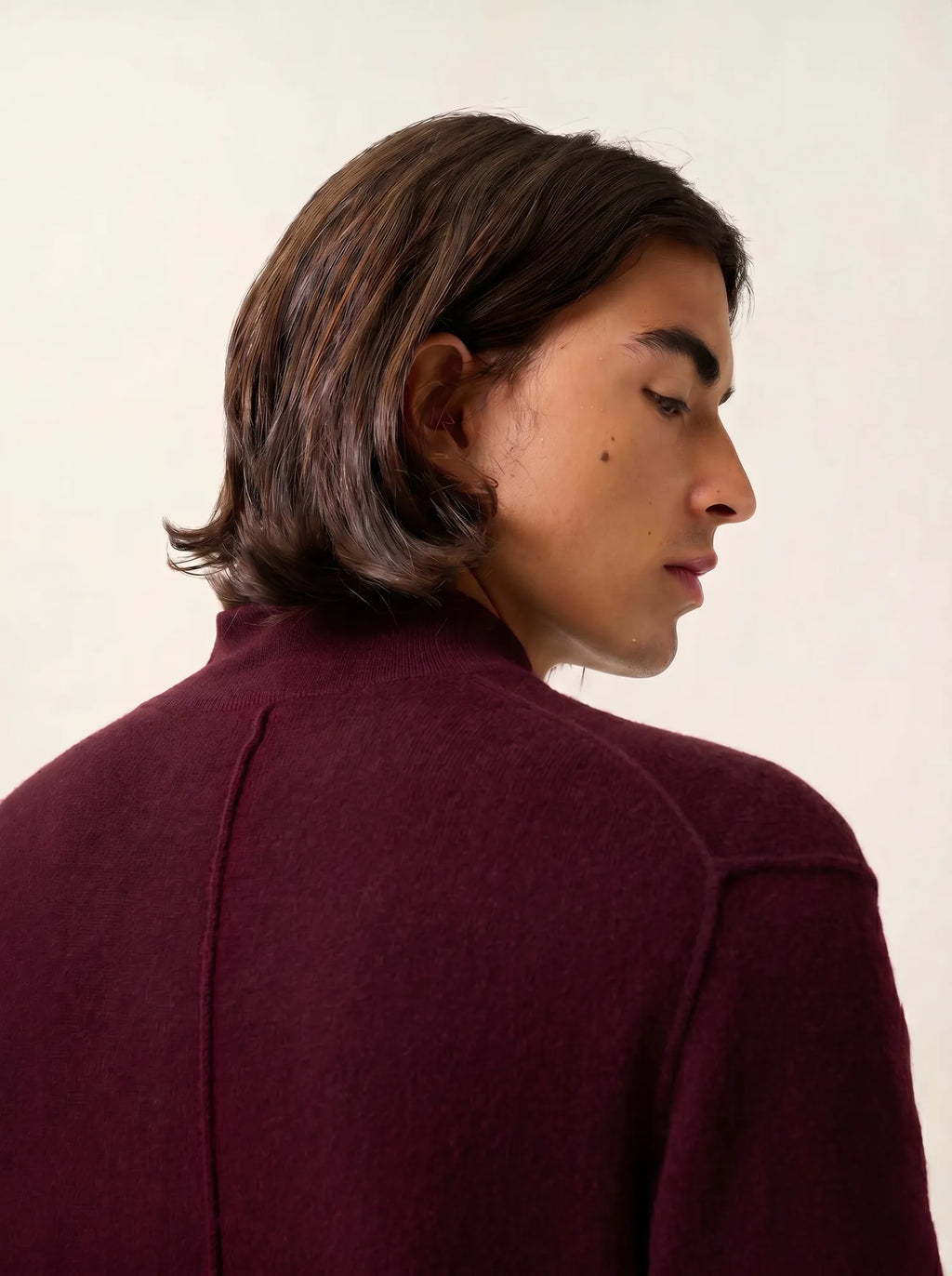 CANDICE Pullover Truckerkragen Bordeaux