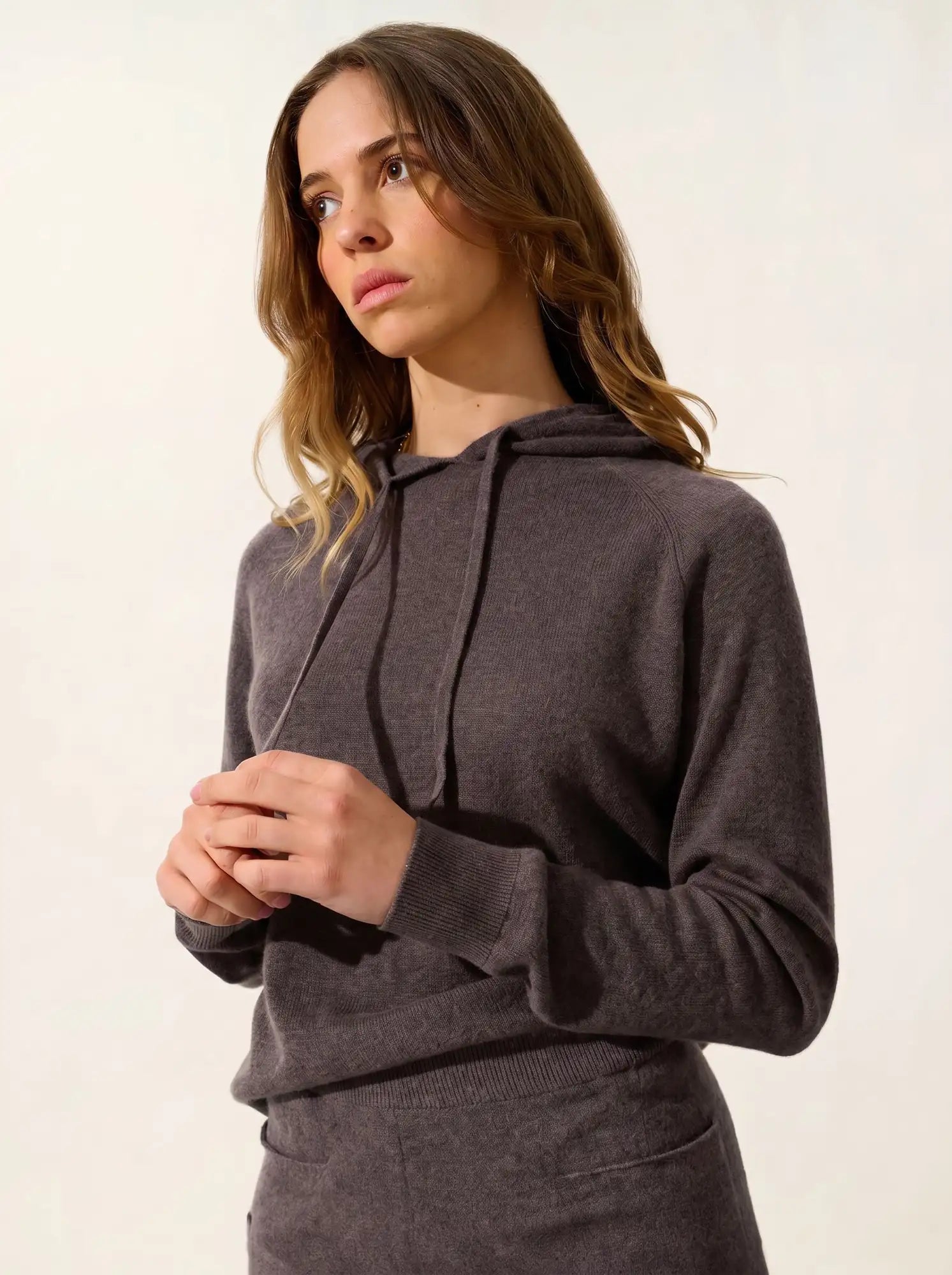 YARLSIDE Pull Capuche Taupe Chiné